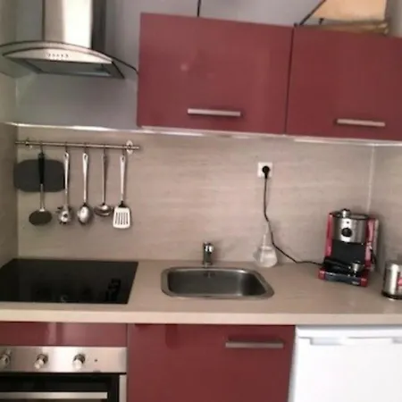 T3 Face A La Avec Terrasse Panoramique Et Parking Prive - - Fr-1-81-466 Apartament Le Barcarès