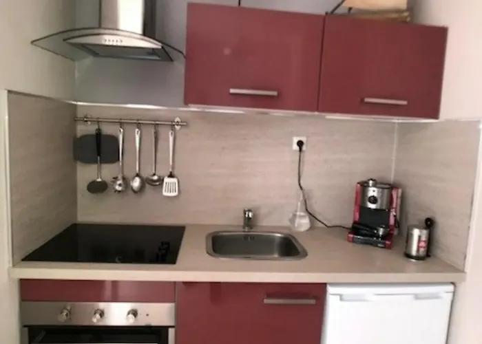 T3 Face à La Avec Terrasse Panoramique Et Parking Privé - - Fr-1-81-466 Apartamento Le Barcarès